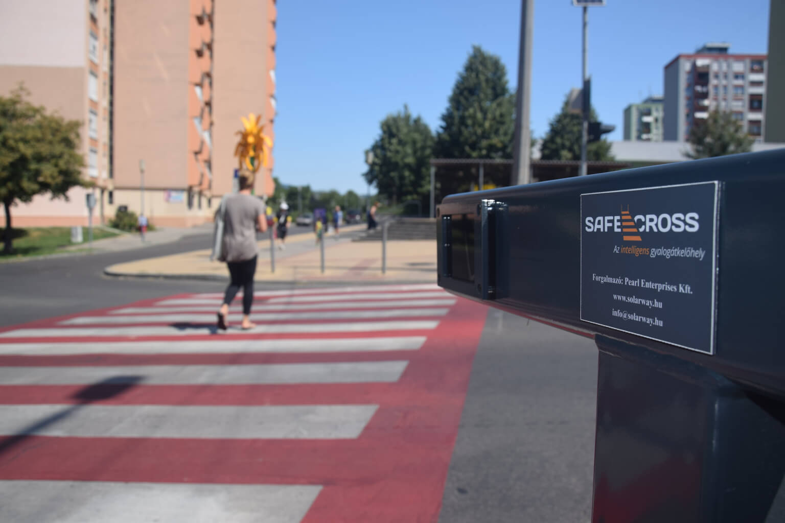 SafeCross System Pro